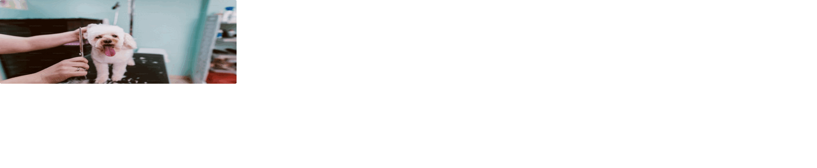 YM8RI.gif