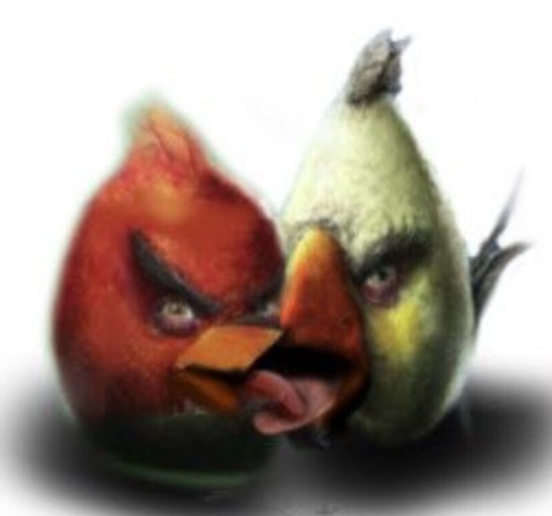 cyabN.jpeg