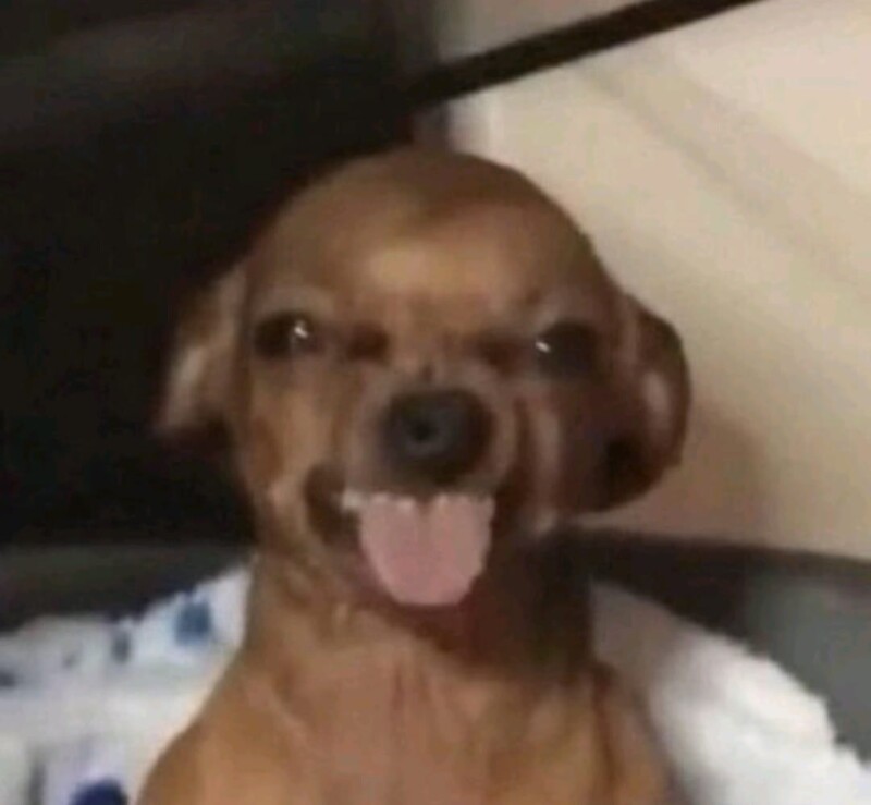 crBkn.jpg